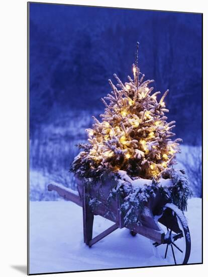 Photographic Print, , large