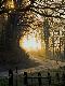 Premium Photographic Print