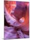 Premium Photographic Print