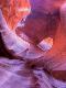 Premium Photographic Print