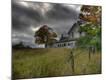 Premium Photographic Print