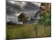 Photographic Print