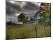 Premium Photographic Print