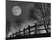 Photographic Print