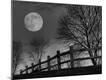 Photographic Print