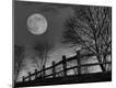 Photographic Print
