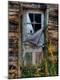 Photographic Print