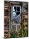Premium Photographic Print
