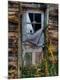 Premium Photographic Print