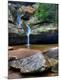 Premium Photographic Print