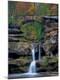 Premium Photographic Print