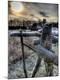Photographic Print