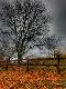 Premium Photographic Print