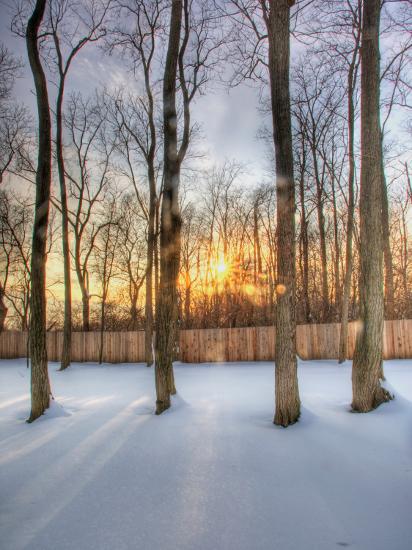 Premium Photographic Print, , large