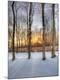 Premium Photographic Print