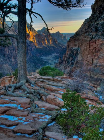 Photographic Print, , large