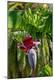 Premium Photographic Print