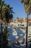 Port Wine Boats on Douro River, Oporto, Portugal-Jim Engelbrecht-Photographic Print