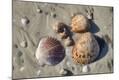 Photographic Print