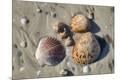 Photographic Print