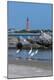 Premium Photographic Print