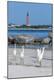 Premium Photographic Print