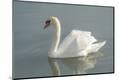 Premium Photographic Print