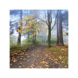 Autumn Walk-Jim Nilsen-Giclee Print