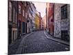 Photographic Print