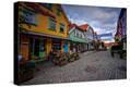 Stretched Canvas Print