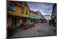 Photographic Print