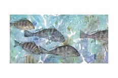 Tarpon Lagoon-Jim Roberts-Framed Art Print