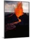 Premium Photographic Print