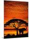 Premium Photographic Print