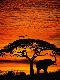 Premium Photographic Print