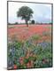 Premium Photographic Print