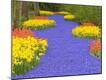 Premium Photographic Print