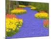 Premium Photographic Print