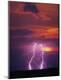 Premium Photographic Print