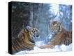 Stretched Canvas Print