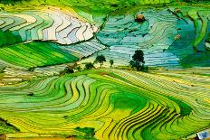 Beautiful Landscape about Terraced Rice Field in Laocai Province, Vietnam-Jimmy Tran-Photographic Print
