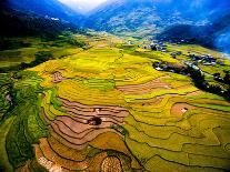 Beautiful Landscape about Terraced Rice Field in Laocai Province, Vietnam-Jimmy Tran-Photographic Print