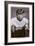 Jimmy Walsh, British Boxer, 1938-null-Framed Giclee Print