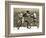 Jimmy Wilde Boxing Pancho Villa in New York-Pat Nicolle-Framed Giclee Print