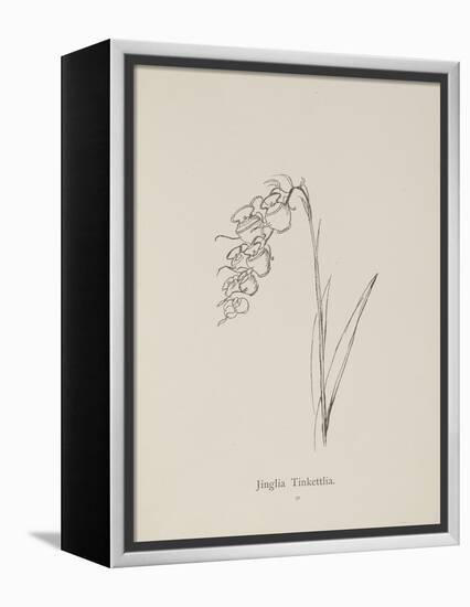 Jinglia Tinkettlia. Illustrations From Nonsense Botany, and Nonsense Alphabets by Edward Lear-Edward Lear-Framed Premier Image Canvas