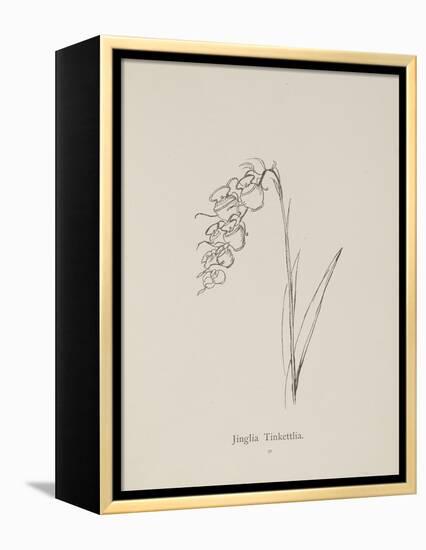 Jinglia Tinkettlia. Illustrations From Nonsense Botany, and Nonsense Alphabets by Edward Lear-Edward Lear-Framed Premier Image Canvas