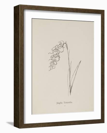 Jinglia Tinkettlia. Illustrations From Nonsense Botany, and Nonsense Alphabets by Edward Lear-Edward Lear-Framed Giclee Print