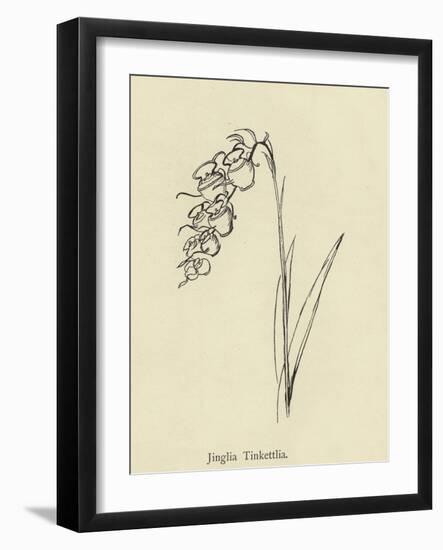 Jinglia Tinkettlia-Edward Lear-Framed Giclee Print