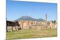 Premium Photographic Print