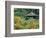 Jisho Temple- Silver Pavilion-Christophe Boisvieux-Framed Photographic Print